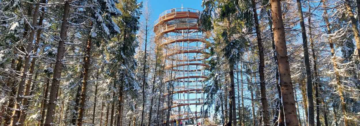 Read more about the article Dzikowiec – Dwie wieże