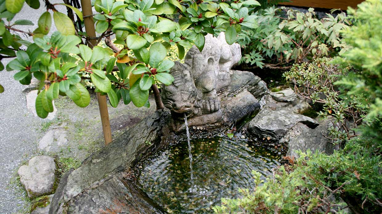 Read more about the article Ogród Japoński w Jarkowie