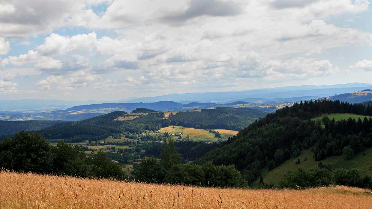 Read more about the article Wielka Sowa