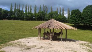 Read more about the article Safari Park Dvůr Králové i Zapora Les Království
