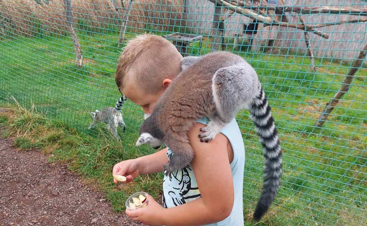 Read more about the article ZOO Łączna, Rezerwat Głazy Krasnoludków, Czartowskie Skały i stół sędziowski w Kochanowie